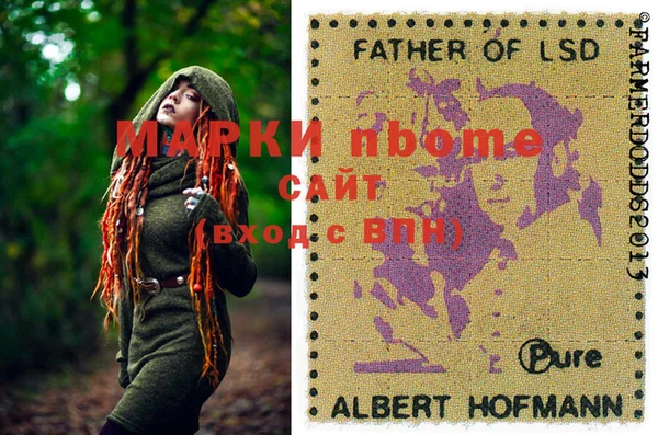 индика Бронницы