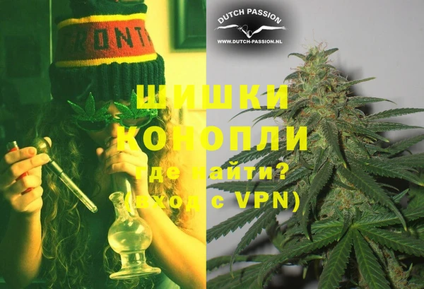 прущие крисы Бородино