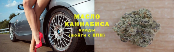прущие крисы Бородино