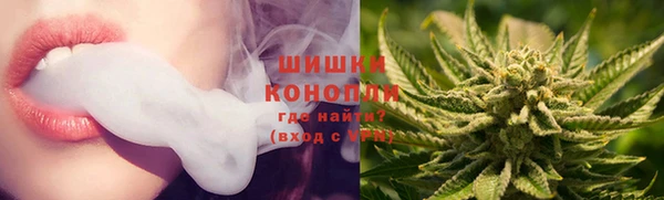 дмт Богородицк