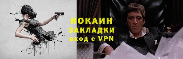 прущие крисы Бородино
