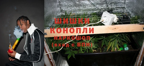 прущие крисы Бородино