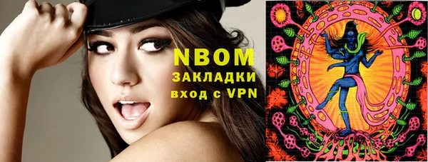 индика Бронницы