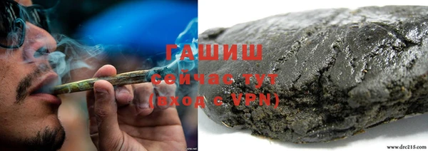дмт Богородицк